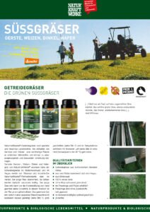 Süssgräser Naturkraftwerke, Gerstengras, Weizengras, Dinkelgras (Hafergras gibt es nicht mehr)